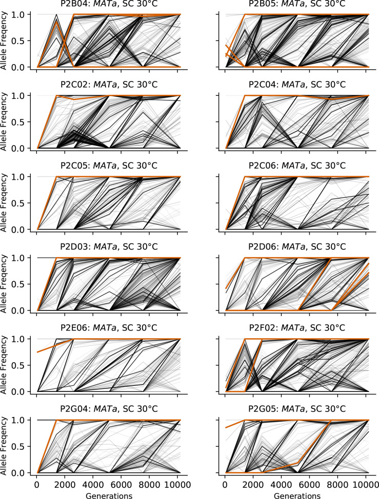 Figure 3—figure supplement 5.