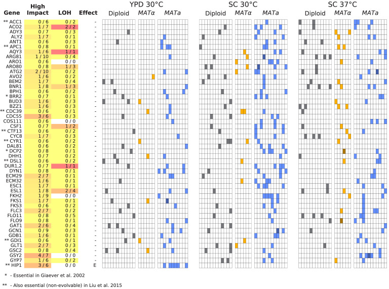 Figure 6—figure supplement 1.