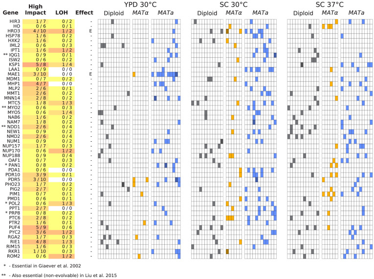 Figure 6—figure supplement 2.