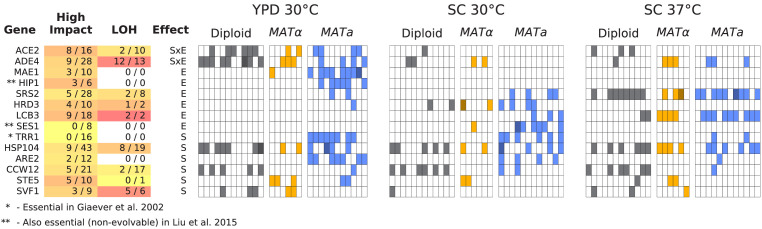 Figure 6—figure supplement 4.