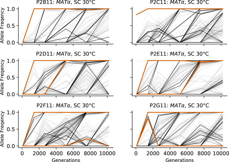 Figure 3—figure supplement 6.