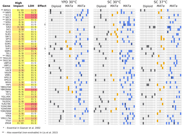 Figure 6—figure supplement 3.