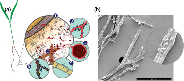 FIG 4