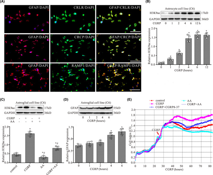 FIGURE 4