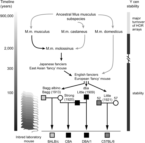 Figure 7.