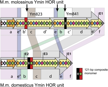 Figure 5.