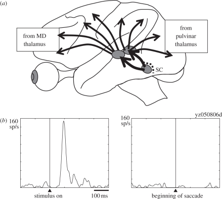 Figure 5.