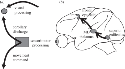 Figure 1.