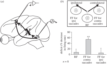 Figure 3.