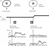Figure 2.