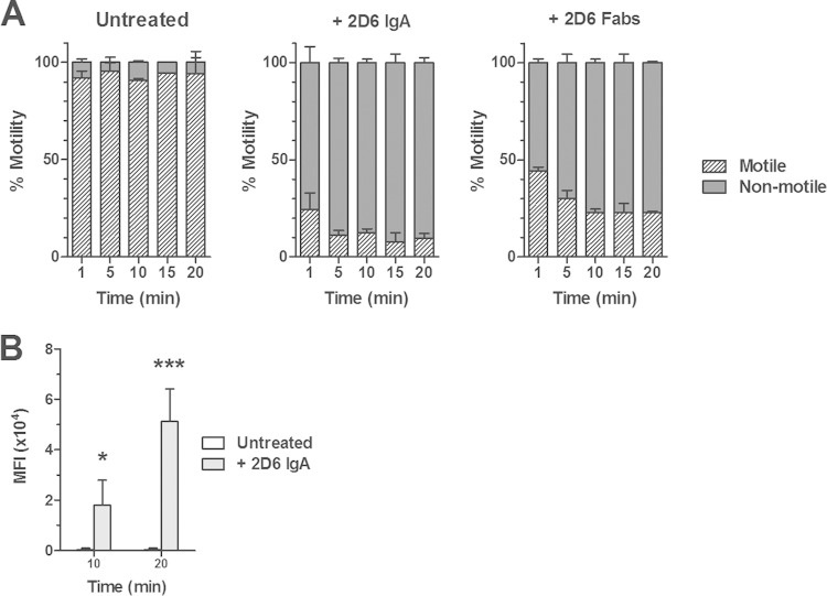 FIG 2