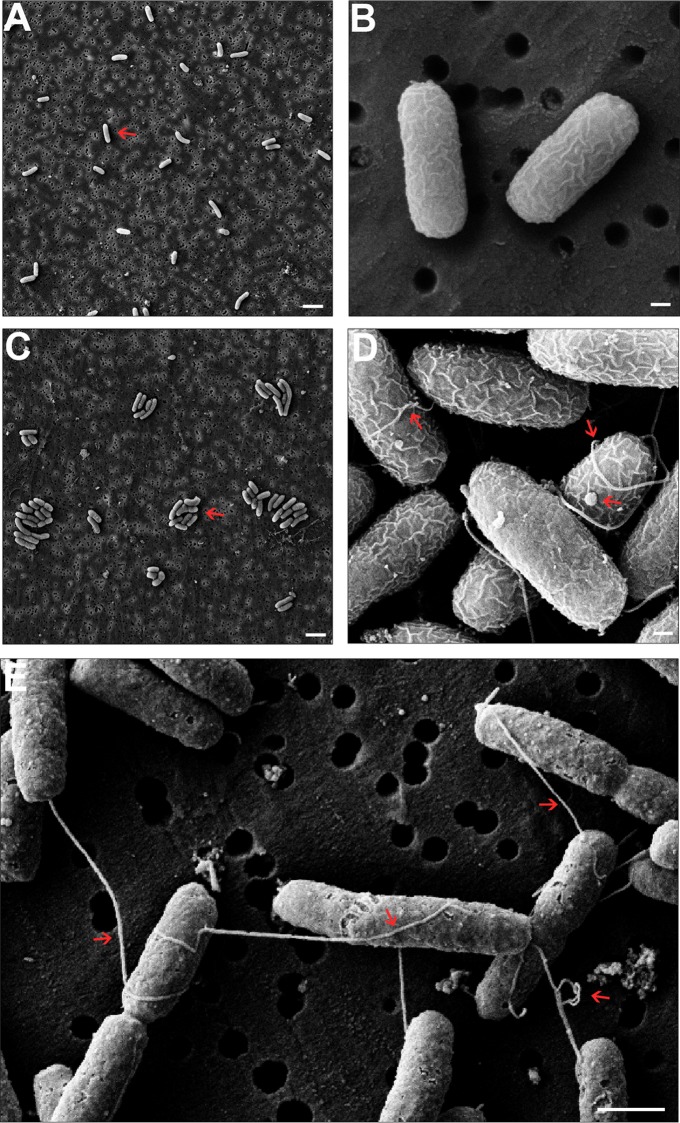 FIG 3