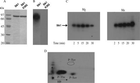 FIG. 1.