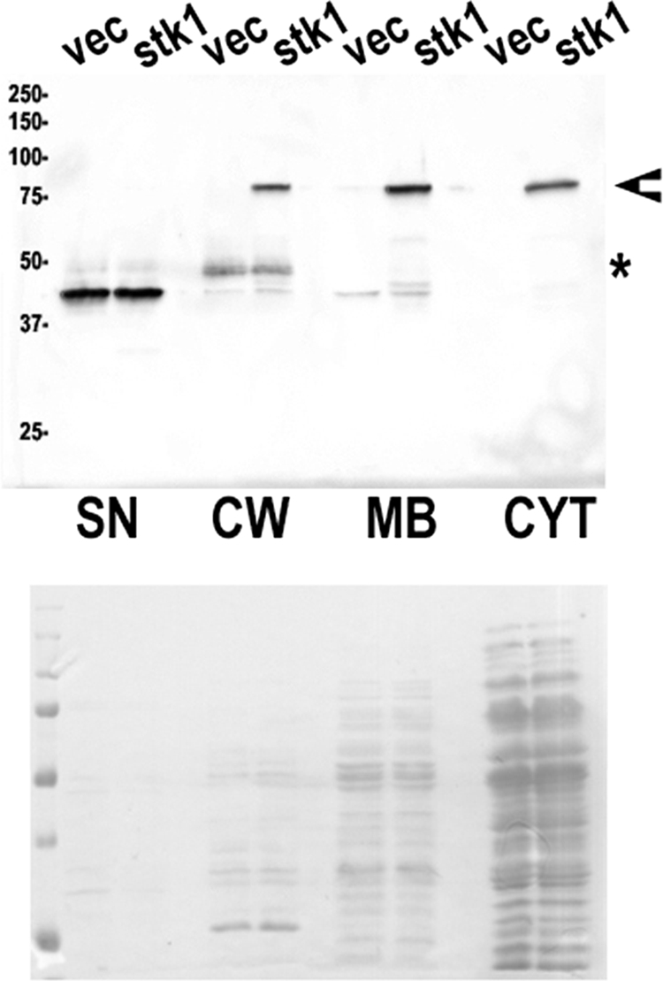 FIG. 6.