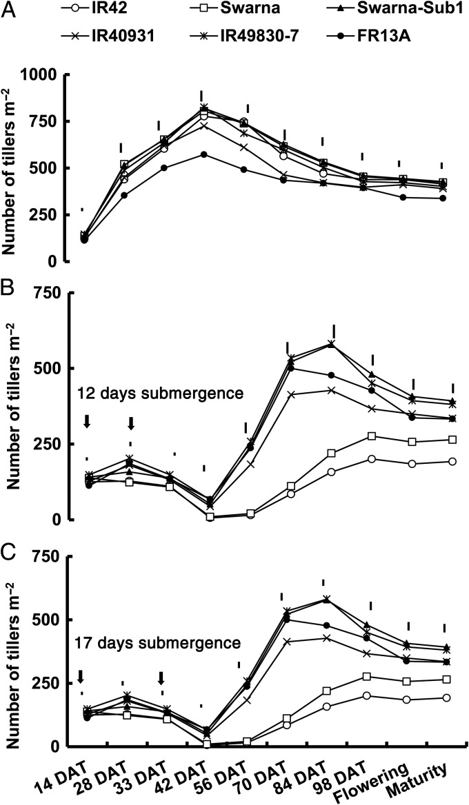 Figure 5.