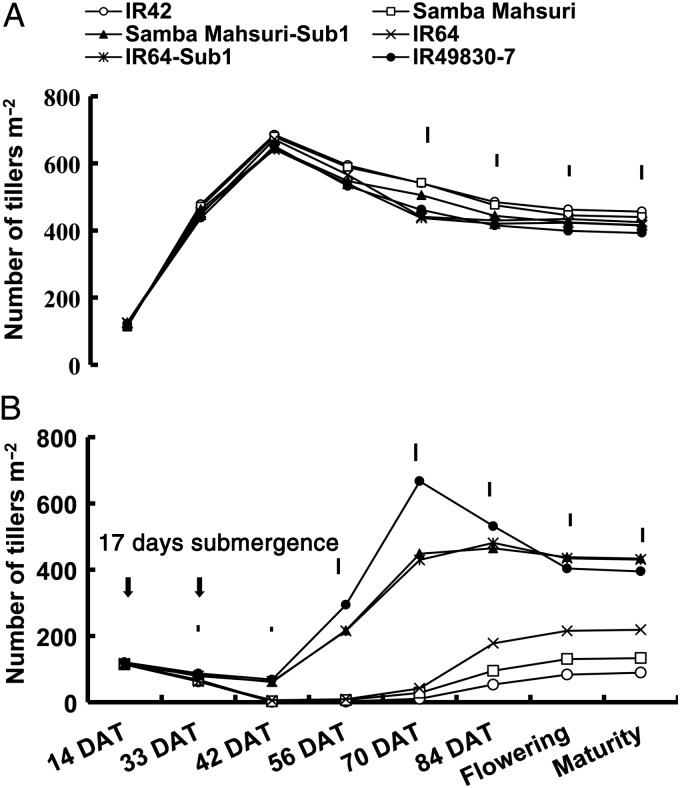 Figure 6.