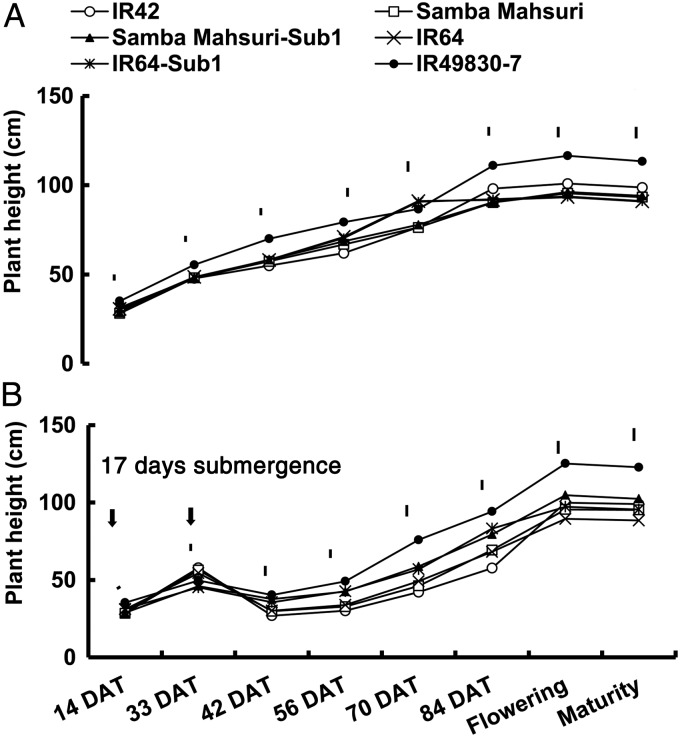 Figure 4.