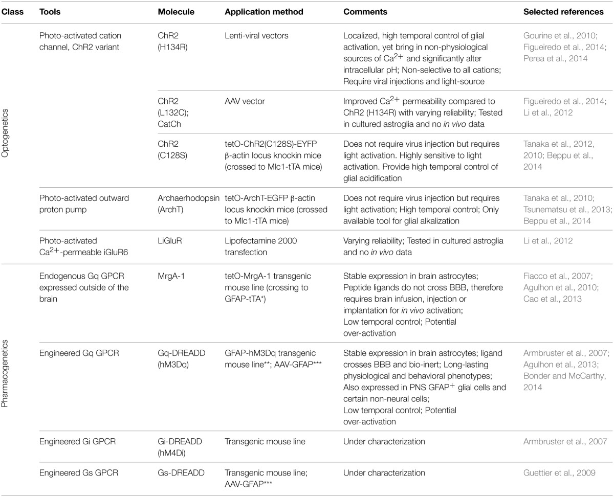 graphic file with name fncel-09-00144-i0001.jpg