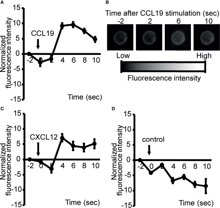 Figure 3