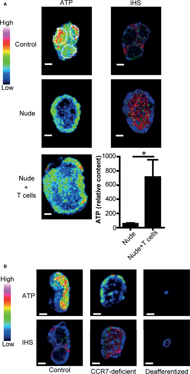 Figure 2