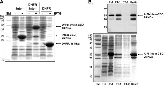 FIG. 4.