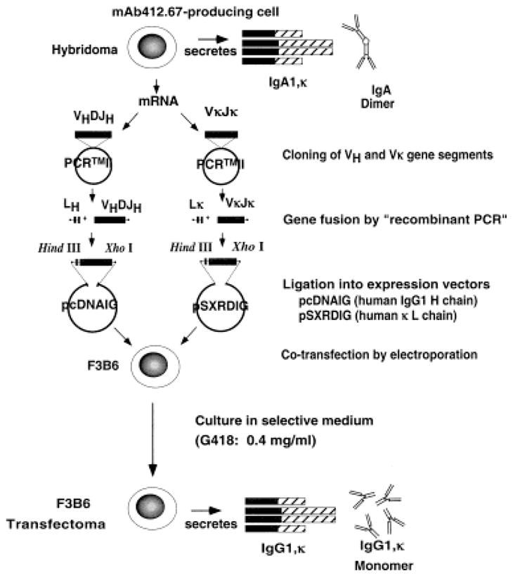 Fig. 3