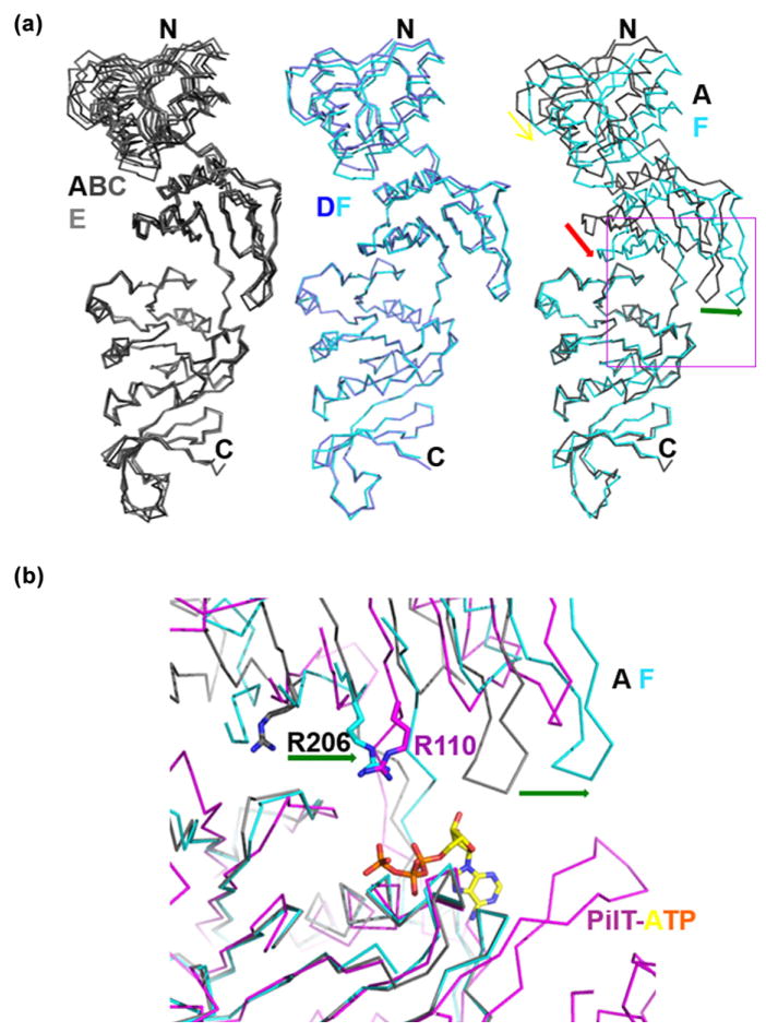 Fig. 8