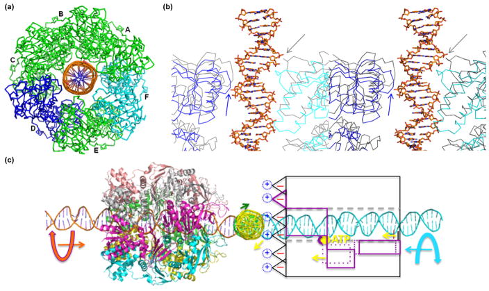 Fig. 9