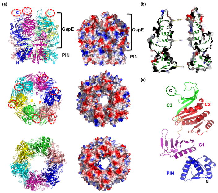 Fig. 7