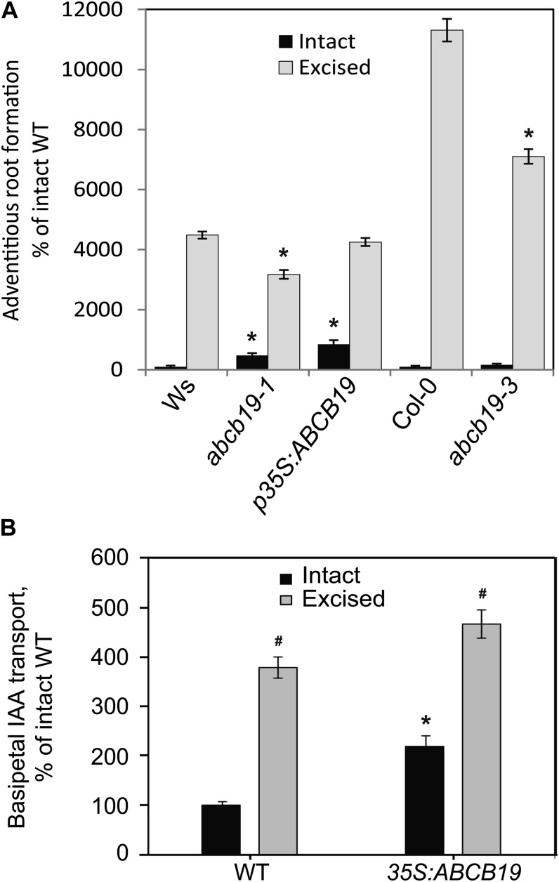 Figure 5.