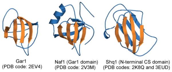 Fig. 12