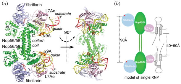 Fig. 6