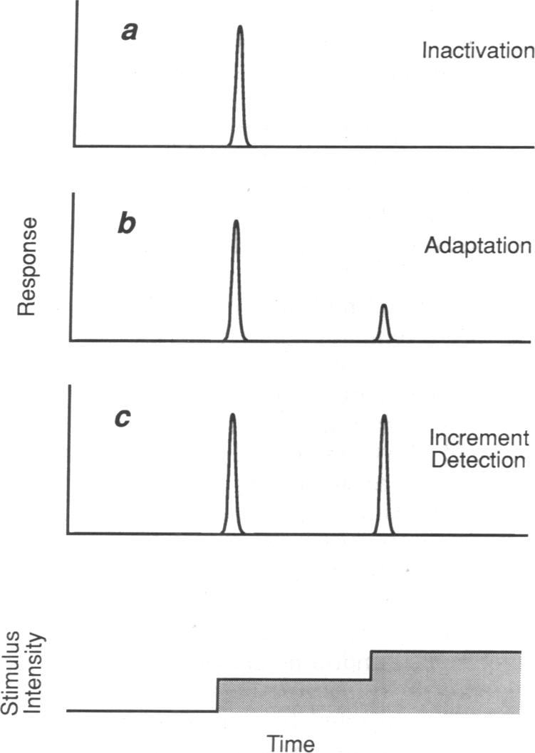 graphic file with name pnas01035-0219-a.jpg