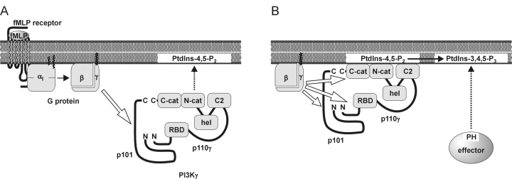 Figure 9.