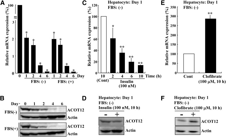 Fig. 9.