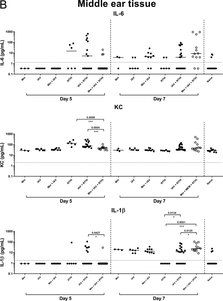 FIG 2