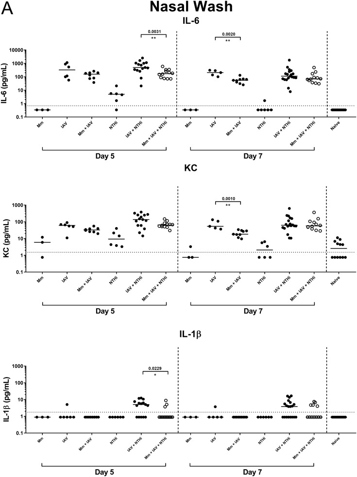 FIG 2