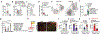 Fig. 2 |