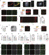 Extended Data Figure 5 |
