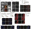 Extended Data Figure 9 |