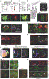 Extended Data Figure 6 |