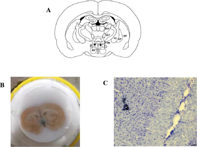 Fig. 5