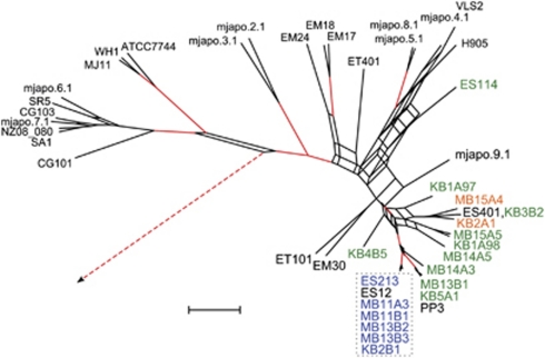 Figure 2