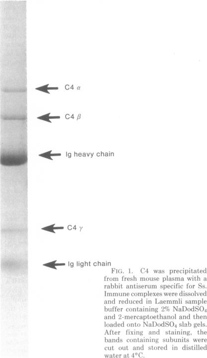 graphic file with name pnas00009-0490-c.jpg