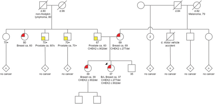 FIGURE 1