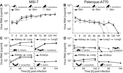 FIG 4