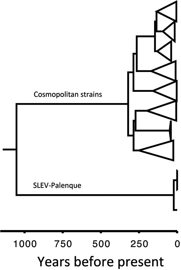 FIG 5