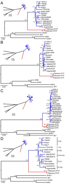 FIG 2