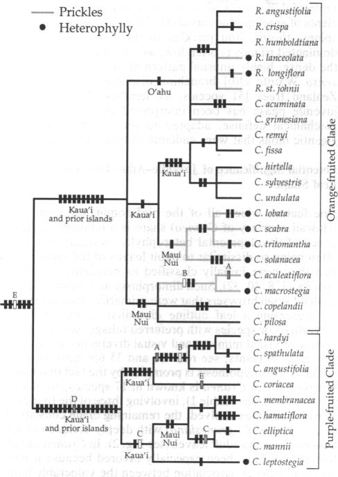 graphic file with name pnas01129-0443-a.jpg