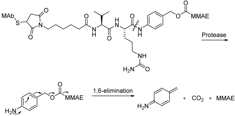 Scheme 1